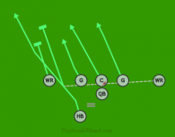 PANTHER LT , RT MOTION HB SPRINT is a 7 on 7 flag football play