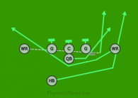 PANTHER LT, LT MOTION RT REVERSE is a 7 on 7 flag football play